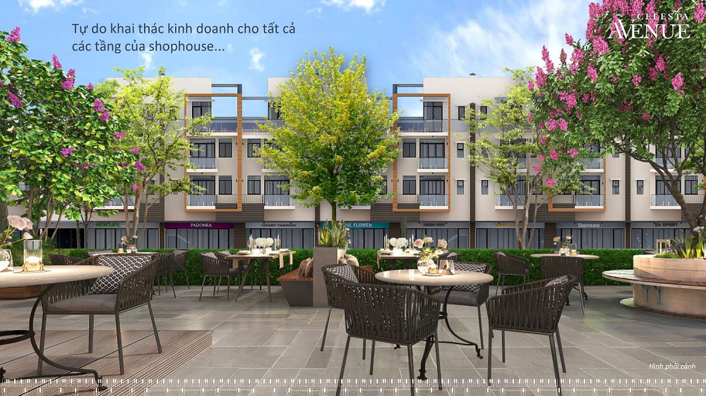 Bất Động Sản Nam Sài Gòn